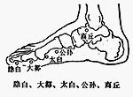 大都穴|醫砭 » 經穴庫 » 大都